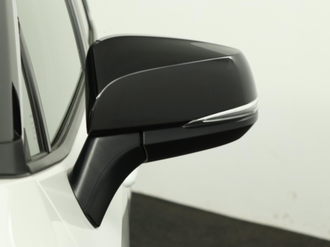 Toyota RAV4 - 2.5 Hybrid AWD Bi-Tone