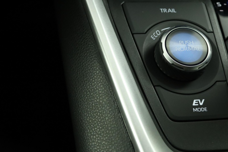 Toyota RAV4 - 2.5 Hybrid AWD Bi-Tone 61