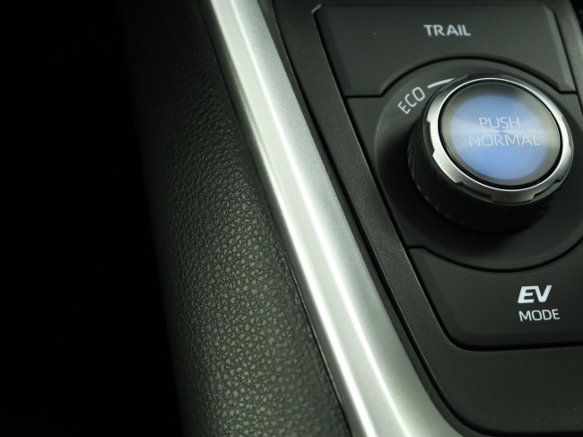 Toyota RAV4 - 2.5 Hybrid AWD Bi-Tone