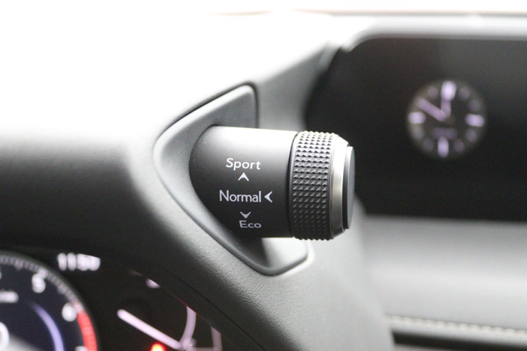 Lexus UX - 250h Luxury Line 39