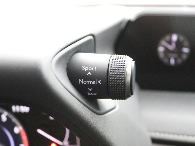 Lexus UX - 250h Luxury Line