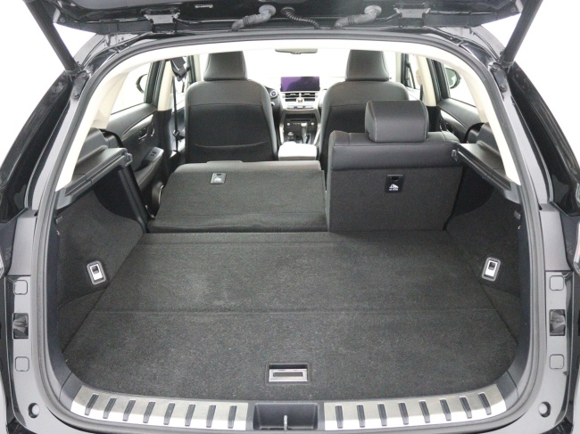 Lexus NX - 300h AWD Edition 30