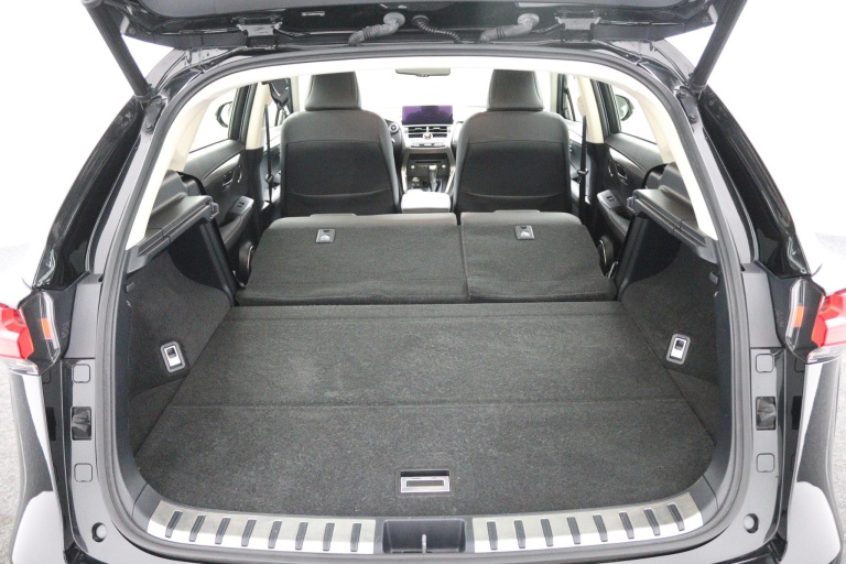 Lexus NX - 300h AWD Edition 30 24