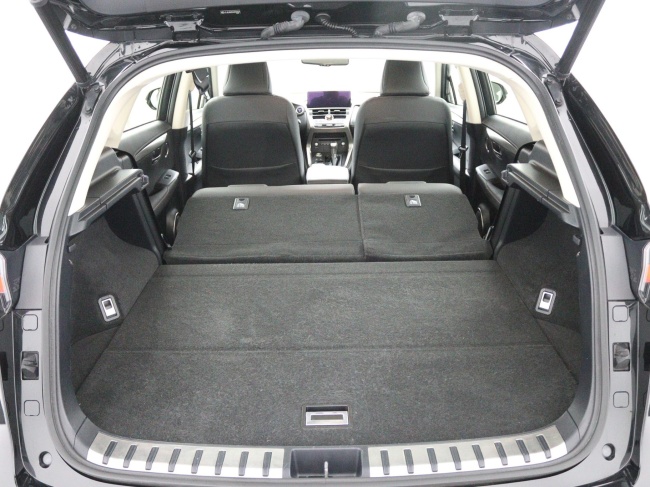 Lexus NX - 300h AWD Edition 30