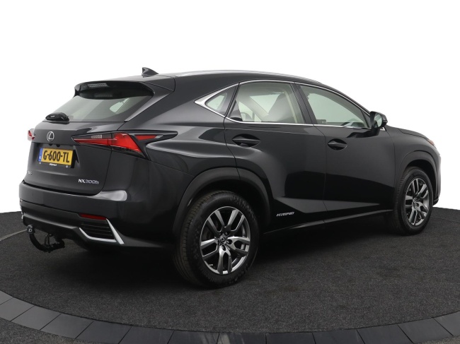 Lexus NX - 300h AWD Edition 30