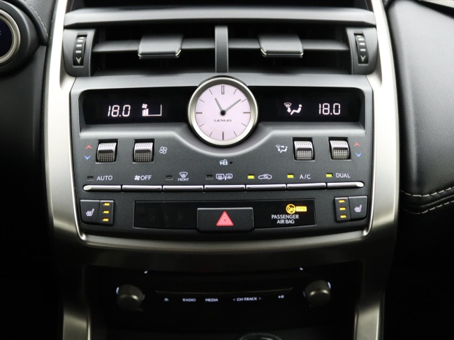 Lexus NX - 300h AWD Edition 30