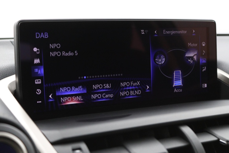 Lexus NX - 300h AWD Edition 30 48