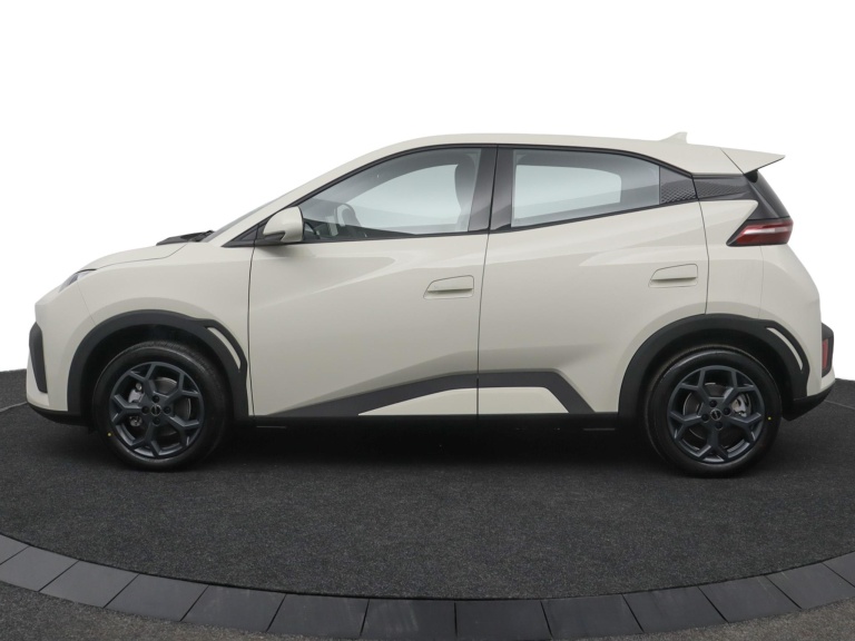 BYD DOLPHIN SURF - Boost 43 kWh 3