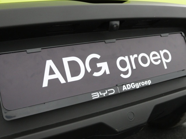 BYD DOLPHIN SURF - Boost 43 kWh
