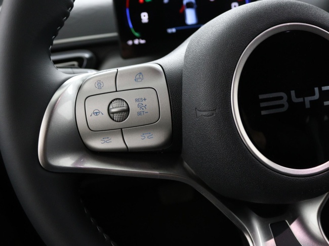 BYD DOLPHIN SURF - Boost 43 kWh