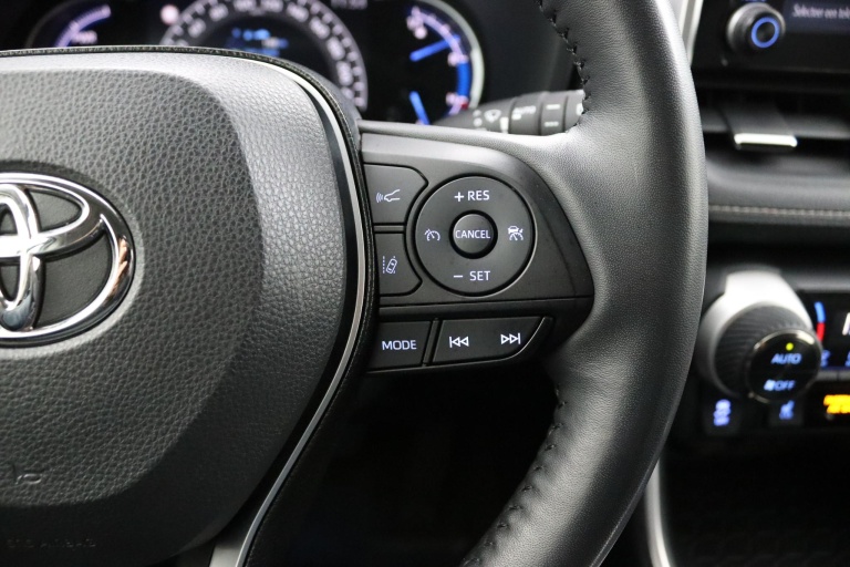 Toyota RAV4 - 2.5 Hybrid Style Limited 21