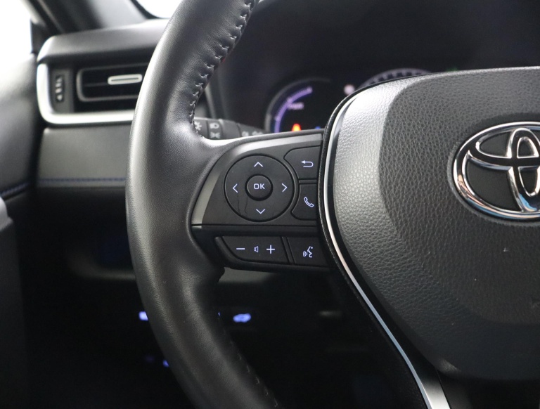 Toyota RAV4 - 2.5 Hybrid AWD Bi-Tone 19