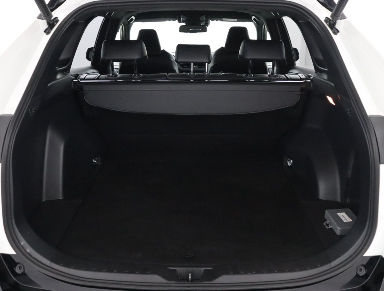 Toyota RAV4 - 2.5 Hybrid AWD Bi-Tone 23