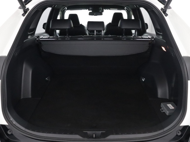 Toyota RAV4 - 2.5 Hybrid AWD Bi-Tone