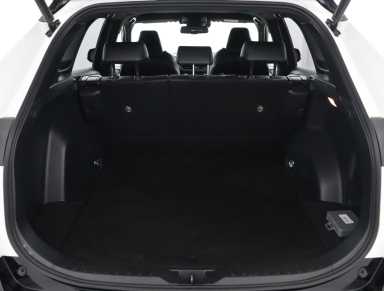 Toyota RAV4 - 2.5 Hybrid AWD Bi-Tone 24