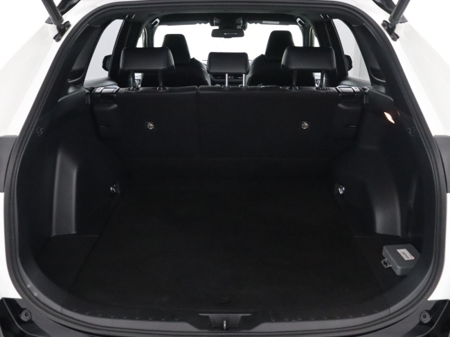 Toyota RAV4 - 2.5 Hybrid AWD Bi-Tone