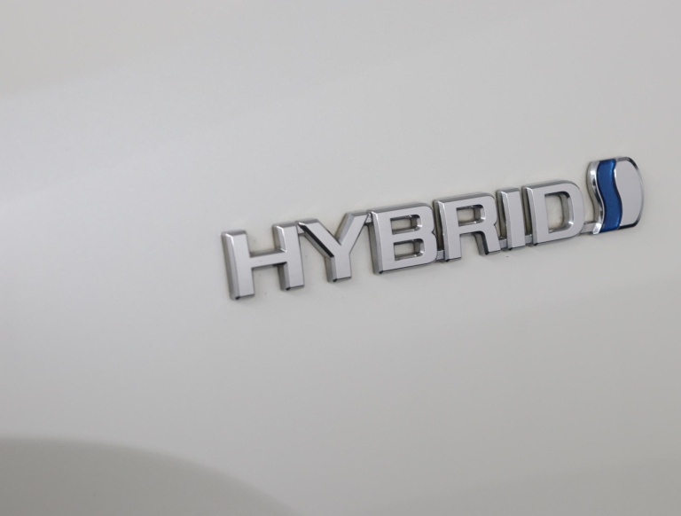 Toyota RAV4 - 2.5 Hybrid AWD Bi-Tone 38