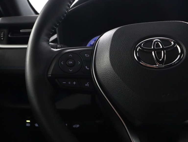 Toyota RAV4 - 2.5 Hybrid AWD Bi-Tone 19