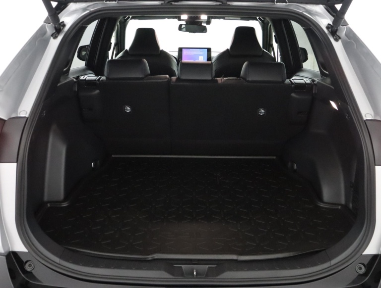 Toyota RAV4 - 2.5 Hybrid AWD Bi-Tone 25