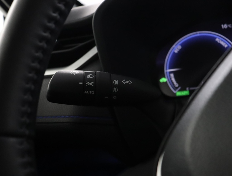 Toyota RAV4 - 2.5 Hybrid AWD Bi-Tone 31