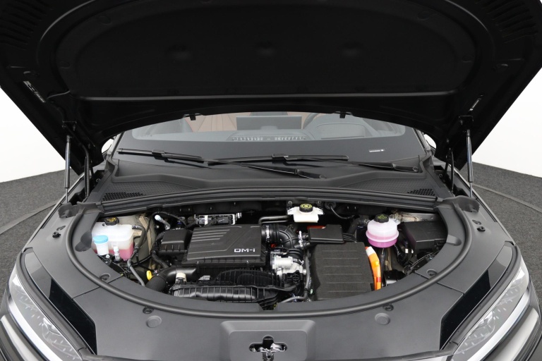 BYD SEAL U - 1.5 DM-i FWD Boost 29