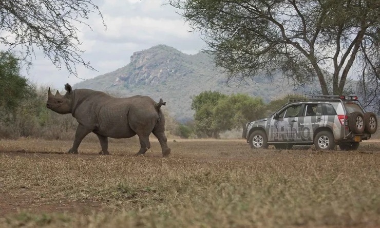 De Suzuki Vitara Rhino Edition: Een Ode aan Kracht en Bescherming