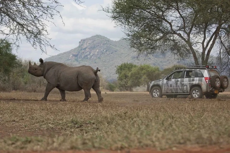 De Suzuki Vitara Rhino Edition: Een Ode aan Kracht en Bescherming